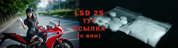 гашик Баксан