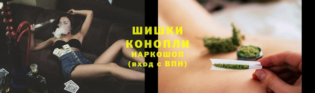 гашик Баксан