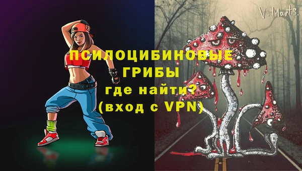 гашик Баксан